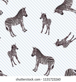 Seamless pattern, background  with adult zebra  and zebra cub.  Realistic drawing, animalism. Vector illustration. . On blue and white diagonal stripes background.