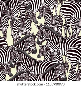 Seamless pattern, background  with adult zebra  and zebra cub.  Realistic drawing, animalism. Vector illustration.  On green background.