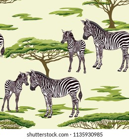 Seamless pattern, background  with adult zebra  and zebra cub.  Realistic drawing, animalism. Vector illustration.  On green background.
