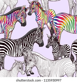 Seamless pattern, background  with adult zebra  and zebra cub.  Realistic drawing, animalism. Vector illustration.  On pink background. Colored and outline drawing. 