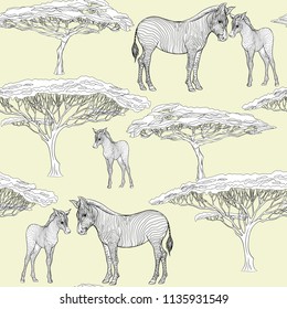 Seamless pattern, background  with adult zebra  and zebra cub.  Realistic drawing, animalism. Vector illustration.  On green background. Outline drawing. 