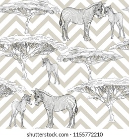 Seamless pattern, background  with adult zebra  and zebra cub.  Realistic drawing, animalism. Vector illustration.   On grey and white zigzag stripes background. Outline drawing. 
