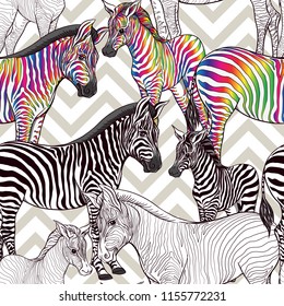 Seamless pattern, background  with adult zebra  and zebra cub.  Realistic drawing, animalism. Vector illustration.   On grey and white zigzag stripes background. Colored and outline 