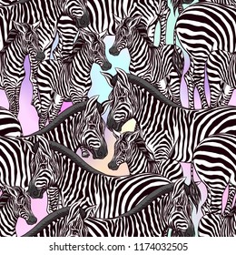 Seamless pattern, background  with adult zebra  and zebra cub.  Realistic drawing, animalism. Vector illustration.  On pink background. 