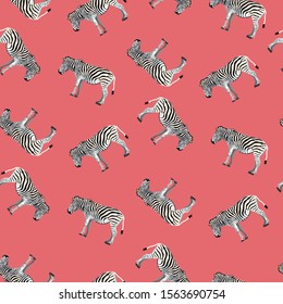 Seamless pattern, background with adult zebra. Realistic drawing, animalism. Illustration on broght background.