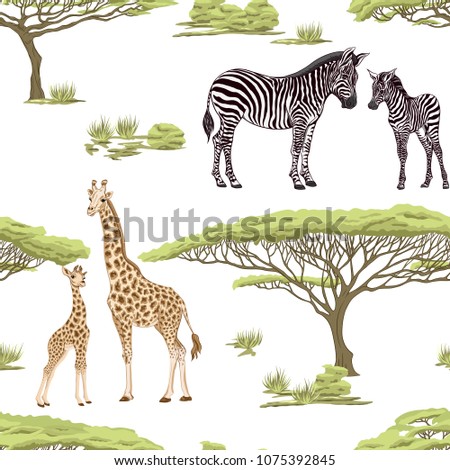 Seamless pattern, background  with adult zebra and giraffe  and zebra and giraffe cubs.  Realistic drawing, animalism. Vector illustration.  Isolated on white background.