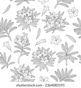 Fondo de patrón sin foco con azalea, ramas de rododendros, ramas con flores, hojas. Elementos botánicos florales. Ilustración vectorial de línea dibujada a mano.