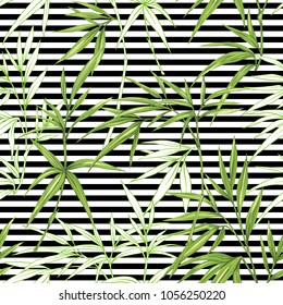 Seamless pattern, background with bamboo  on  b&w stripes  background. Hand drawn colorful vector illustration without transparent and gradients.