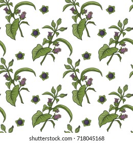 Seamless pattern and background with belladonna. Stock vector illustration