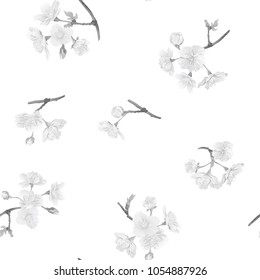 Seamless pattern, background with blooming cherry japanese sakura In monochrome gray colors. Stock vectorÂ illustration. 