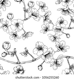 Seamless pattern, background with blooming cherry japanese sakura. Stock vector illustration.  Outline drawing. 