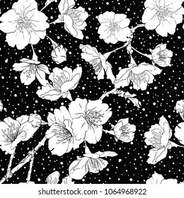 Seamless pattern, background with blooming cherry, japanese sakura in white and black on black background with dots. Stock vector illustration. 