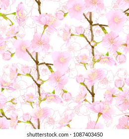 Seamless pattern, background with blooming cherry japanese sakura in soft rose pink colors. Stock vector illustration. Isolated on white background. Colored and outline pattern.