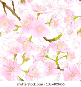 Seamless pattern, background with blooming cherry japanese sakura in soft rose pink colors. Stock vector illustration. Isolated on white background. Colored and outline pattern.