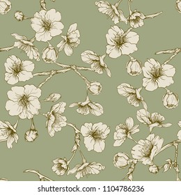 Seamless pattern, background with blooming cherry japanese sakura in vintage green olive and beige colors. Stock vector illustration. 