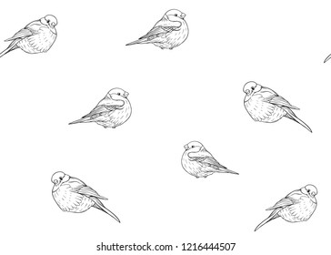Seamless pattern, background with Bullfinch. Vector illustration.  Outline hand drawing vector illustration.
