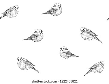 Seamless pattern, background with Bullfinch. Vector illustration.  Outline hand drawing vector illustration.
