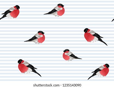 Seamless pattern, background with  bullfinchs.  Colored vector illustration. On blue and white stripes background.
