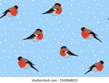 Seamless pattern, background with  bullfinchs.  Colored vector illustration. On blue background.
