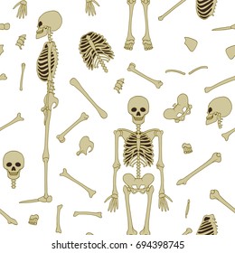 Seamless pattern, background with dancing skeletons. On white background. Stock line vector illustration.

