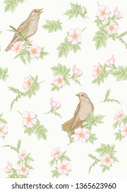 Seamless pattern, background with dog-rose, briar, brier, eglantine, canker-rose and nightingale. Template for wedding invitation, greeting card, gift voucher. Graphic drawing,  Vector illustration.
