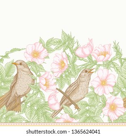 Seamless pattern, background with dog-rose, briar, brier, eglantine, canker-rose and nightingale. Template for wedding invitation, greeting card, gift voucher. Graphic drawing,  Vector illustration.