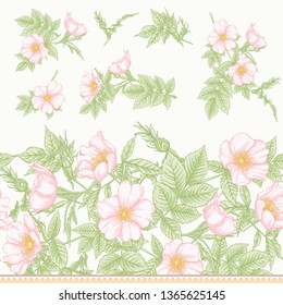 Seamless pattern, background with dog-rose, briar, brier, eglantine, canker-rose . Template for wedding invitation, greeting card, gift voucher. Graphic drawing,  Vector illustration.