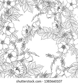 Seamless pattern, background with dog-rose, briar, brier, eglantine, canker-rose . Template for wedding invitation, greeting card, gift voucher. Graphic outline drawing,  Vector illustration.