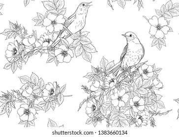 Seamless pattern, background with dog-rose, briar, brier, eglantine, canker-rose and nightingale. Template for wedding invitation, greeting card, gift voucher. Outline drawing vector illustration.