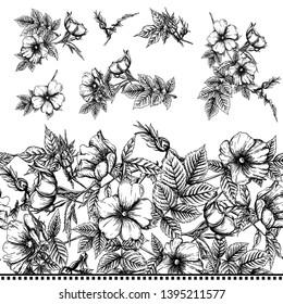 Seamless pattern, background with dog-rose, briar, brier, eglantine, canker-rose. Template for wedding invitation, greeting card, gift voucher. Graphic drawing,  Vector illustration in black and white