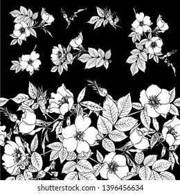 Seamless pattern, background with dog-rose, briar, brier, eglantine, canker-rose and nightingale. Template for wedding invitation, greeting card, gift voucher. Black and white graphics. Vector.