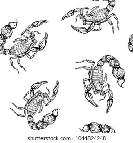 Seamless pattern, background with ethnic patterned ornate hand drawn Scorpio outline on white background . 