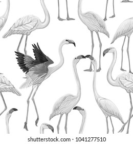 Seamless pattern, background with flamingo.  Hand drawn monochrome vector illustration without transparent and gradients.