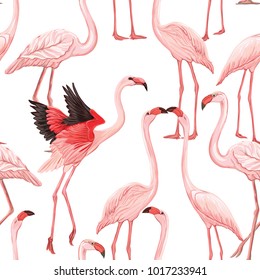 Seamless pattern, background with flamingo  on white background.   Hand drawn colorful vector illustration without transparent and gradients.