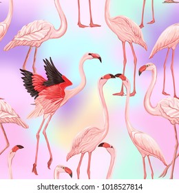 Seamless pattern, background with flamingo  on vanilla background.   Hand drawn colorful vector illustration without transparent and gradients.