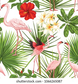 Seamless pattern, background with flamingo and tropical plants on white background.   Hand drawn colorful vector illustration without transparent and gradients.