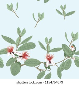 Seamless pattern, background with floral pattern with feijoa blooming flowers. Vector illustration without gradients and transparency.  On blue background.