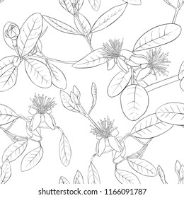 Seamless pattern, background with floral pattern with feijoa blooming flowers. Vector illustration without gradients and transparency.  Outline drawing. 