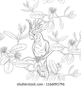 Seamless pattern, background with floral pattern with feijoa blooming flowers and  cockatoo parrot. Vector illustration without gradients and transparency.  Outline drawing. 