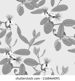 Seamless pattern, background with floral pattern with feijoa blooming flowers. Vector illustration without gradients and transparency.  In monochrome gray colors