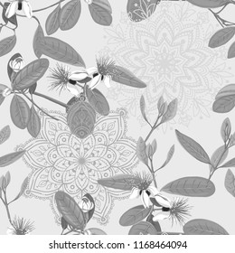 Seamless pattern, background with floral pattern with feijoa blooming flowers. Vector illustration without gradients and transparency.  In monochrome gray colors