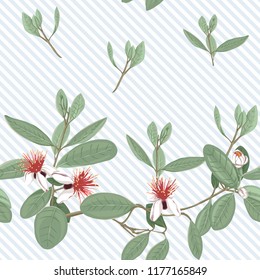 Seamless pattern, background with floral pattern with feijoa blooming flowers. Vector illustration without gradients and transparency.  On blue and white diagonal stripes background.