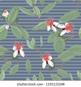 Seamless pattern, background with floral pattern with feijoa blooming flowers. Vector illustration without gradients and transparency.  On blue denim stripes background