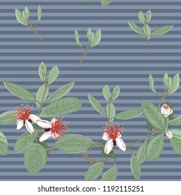 Seamless pattern, background with floral pattern with feijoa blooming flowers. Vector illustration without gradients and transparency.  On blue denim stripes background