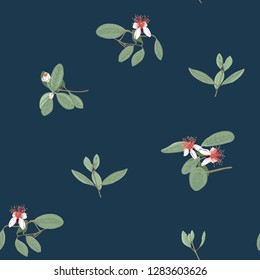Seamless pattern, background with floral pattern with feijoa blooming flowers. Vector illustration without gradients and transparency.  On dark blue background.