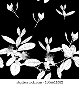 Seamless pattern, background with floral pattern with feijoa blooming flowers. Vector illustration without gradients and transparency.  Black-and-white graphics.