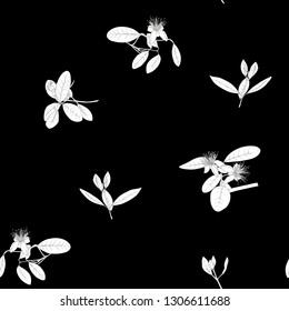 Seamless pattern, background with floral pattern with feijoa blooming flowers. Vector illustration without gradients and transparency.  Black-and-white graphics.