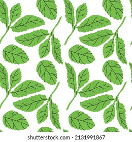 Seamless pattern background - greeneries. Vector illustration of mint, celery and rosemary