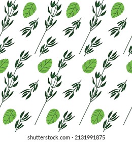 Seamless pattern background - greeneries. Vector illustration of mint, celery and rosemary