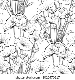 Seamless pattern, background with lotus flower. Botanical illustration style. Stock vector illustration.
